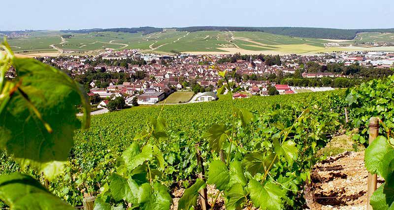 Escorted Tours Champagne, Burgundy and Alsace (12 days) FTC EXCLUSIVE Itinerary Day 1 Transfer from Paris to Champagne Transfer from Paris to Reims at 10am.