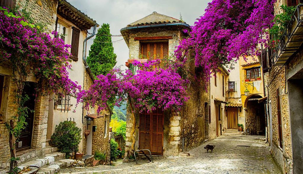 Provence 11 Days April 30 -