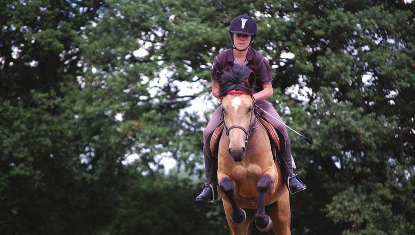 Jennifer is a chief instructor and judge for the British Horse Society, both she and Drew have represented their country at National and International level.