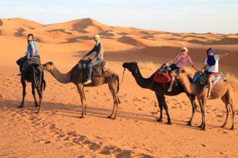 From the wild markets of Marrakech to the snowy peaks of the Atlas, the silence of the Sahara and pristine beaches of the Atlantic, Morocco is simply amazing.