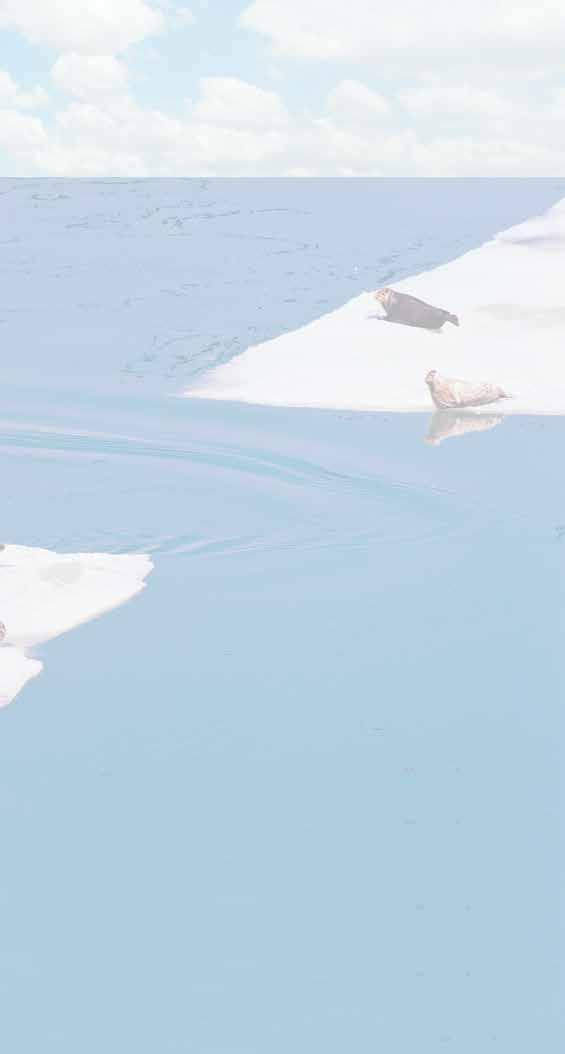 n brings you up close to Dawes Glacier, g nature s ice sculptures.