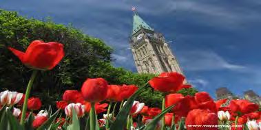 11 May 12 May 13 May 14 Fortified City Trip to Ottawa Tulip