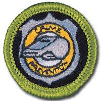 This class will be offered once. Thursday afternoon. Communications Merit Badge Promote effectiveness of human communication using various context, media.