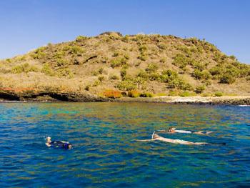 Activities Snorkeling: This is a unique opportunity to experience the wonders of the Galapagos marine reserve like sea lions, sharks, turtles, penguins and marine iguanas flopping around the water.