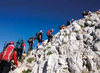 .. Planinska zveza Slovenije, ena največjih in najstarejših prostovoljskih organizacij v Sloveniji, v letu 2013 praznuje 120.