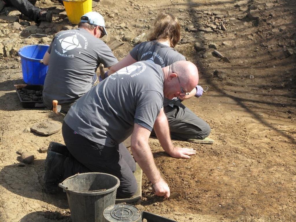 Earthwatch 2016 Annual Field Report EXCAVATING THE ROMAN EMPIRE IN BRITAIN: EXCAVATION AND RESEARCH AT SOUTH SHIELDS