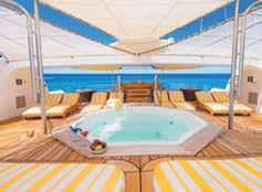 M/C Petrel sundeck with outdoor Jacuzzi Haugan Cruises Playful seals on a beach Shutterstock M/C Petrel private balcony Haugan Cruises M/C Petrel Haugan Cruises M/C PETREL One of the newest vessels