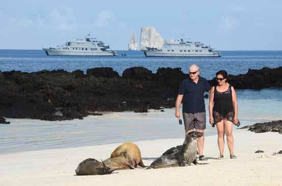 CRUISING Onshore seal encounter with the Coral I & II in the background Klein Tours Blue-footed Booby Shutterstock DARWIN S 8 days/7 nights^ From $5076 per person twin share Departs ex Baltra or San
