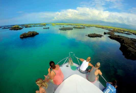 ISLAND HOPPING 8 or 6 days From $2703 per person twin share Departs ex Baltra or San Cristobal For a different experience of the Galapagos Islands, consider islandhopping, which is the only other way