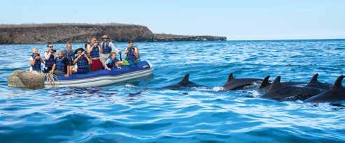 CRUISING Land iguana Shutterstock M/Y Eric & Letty Ecoventura LEGENDARY 8 days/7 nights From $6568 per person twin share Departs ex San Cristobal Discover the miraculous world of the Galapagos as you