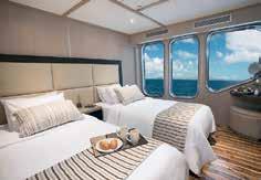 Price per person from: Twin Single M/V Origin (Departs Sun) $10854 $18861 M/Y Letty & Eric (Departs Sun) $6568 $11364 Airfare ex Quito or Guayaquil available on request. Child rates on application.