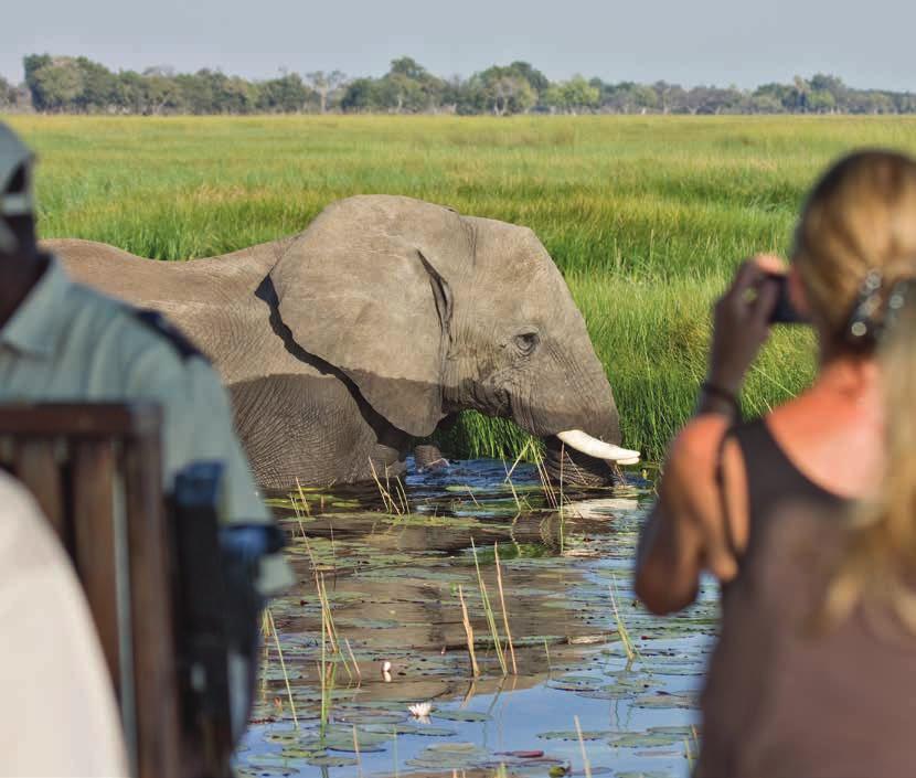 A water wonderland of wildlife and scenery, Botswana boasts the unique opportunity of observing wildlife whilst paddling through the Okavango Delta in wooden-hulled boats, or experiencing Africa s