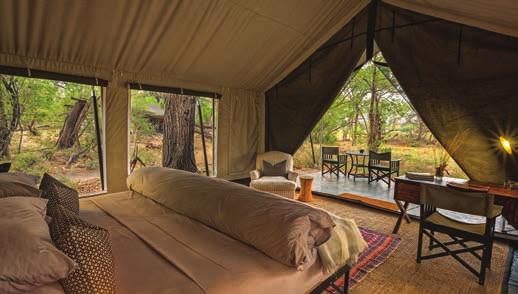 money and a unique classical safari experience. The camp offers a swimming pool, main tented lounge and library.
