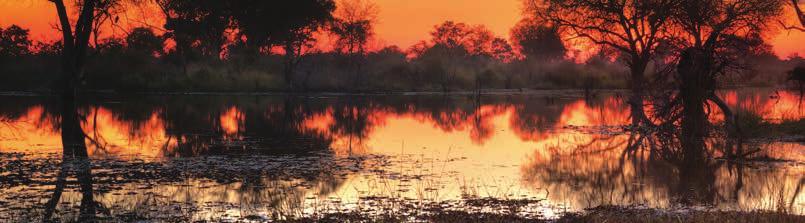 Jan Mar 16 $2325 $3260 Apr Jun & Nov 16 $2875 $4130 Jul Oct 16 $3630 $5340 GHOHA HILLS SAVUTI LODGE The lodge aims to provide discerning travellers to Botswana with a unique, first class safari