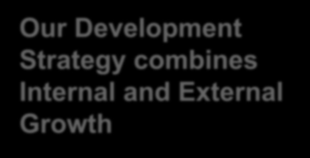 Our Development Strategy combines
