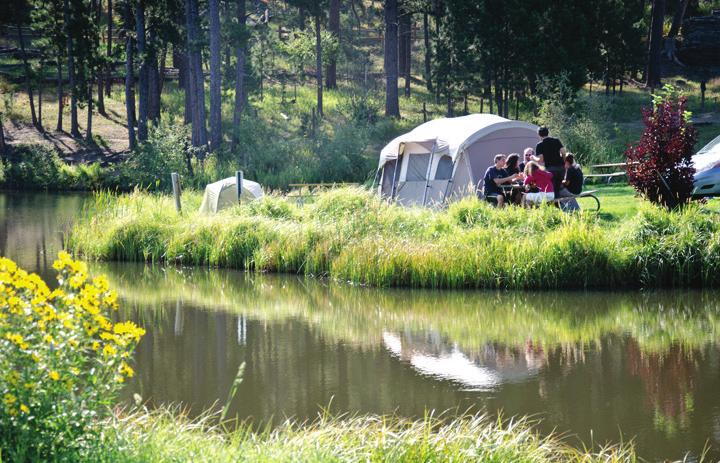 METHODOLOGY Background This report represents the second annual installment of a detailed reporting that will compare the latest iteration of the North American Camping Report to the previous results.