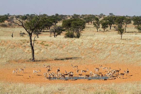 Tour Itinerary Botswana's Kalahari Desert drive for 20 minutes or so to a nearby lodge on the outer fringes of the Delta.