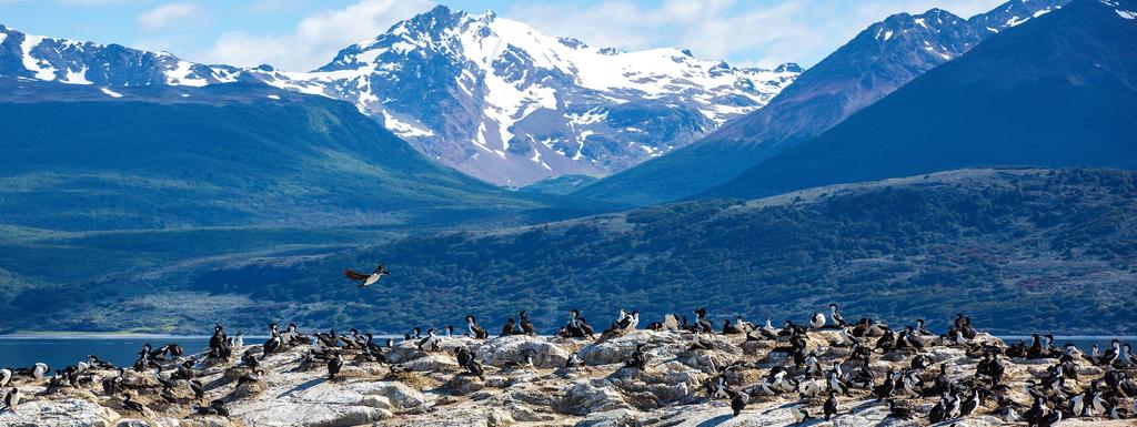 TOUR INCLUSIONS 24 DAY ANTARCTIC EXPLORER + PERU with MACHU PICCHU Extension (Pre- Tour Only) *Surcharge applicable: FLIGHTS Return International Flights (economy class) departing SYD/MEL/
