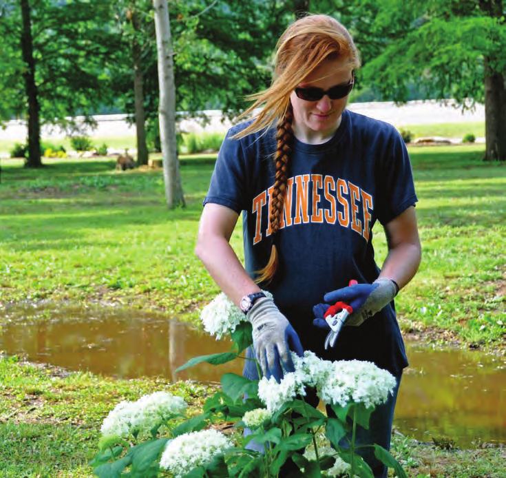 University of Tennessee - Official Tools of Horticultural Program and Gardens Charles