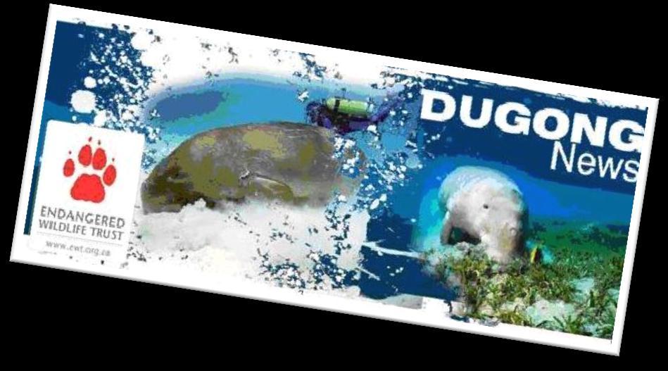 Dugong Emergency Protection Project Second Quarter 2012 16 September 2012 Dugong News How inappropriate to call this plant Earth, when it is clearly Ocean!