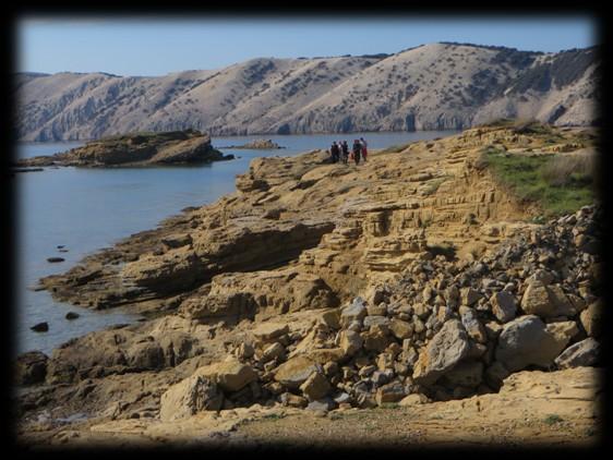 Nakon što smo se trajektom prebacili iz Stinice na otok Rab (Mišnjak), odmah smo krenuli u obilazak eocenskih fosilifernih naslaga na zapadnoj obali