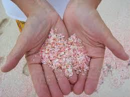 a beach with pink sand, one of ONLY SEVEN