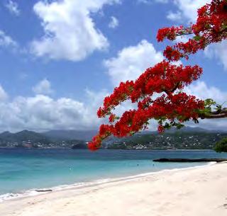 SOUTHERN CARIBBEAN M E D L E Y February 6-17, 2014 Grenada
