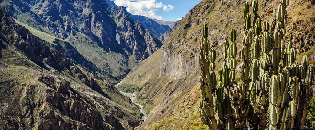 3 days / 2 nights DAY 01 DAY 02 DAY 03 Itinerary DAY 02 / COLCA CANYON After an early breakfast, you will be picked up at 8:00 a.m. for your trip to the Colca Canyon.