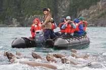 ENHANCE YOUR EXPEDITION WITH THE BEST TEAM IN ALASKA Naturalist maneuvers close to Steller sea lions. Learn, see, and do more by exploring with experts who know the region best.