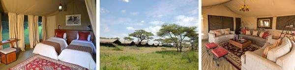 OR The Serengeti Shared Explorer Camp makes use of a traditional mobile tented camp on a shared-use basis, periodically moving location within the Serengeti according to Migration game movements and