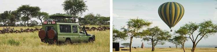 Although the camp will NOT move during your actual stay, the chances of being within reach of the wildebeest migration, which is one of the principle goals of any visit to the Serengeti, are greatly