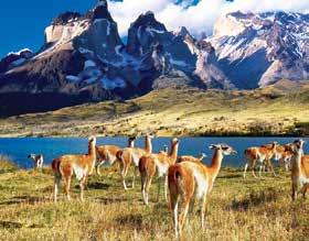 PRSRT STD U.S. Postage PAID Gohagan & Company The wild guanaco is native to the Patagonian steppe. RELEASE OF LIABILITY, ASSUMPTION OF RISK AND BINDING ARBITRATION AGREEMENT RESPONSIBILITY: Thomas P.