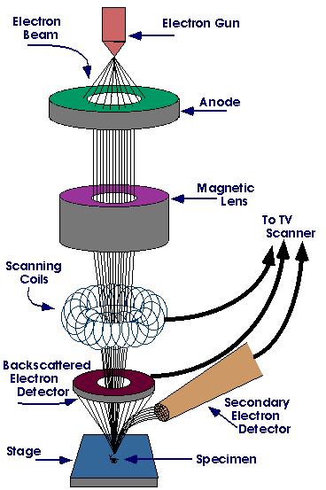 Slika 10: Osnovni delovi SEM uređaja Komora elektronskog topa, koji generiše elektrone, nalazi se na vrhu elektronske kolone.