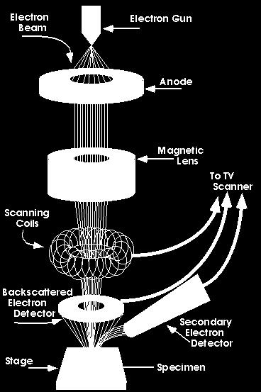 Nakon toga, elektronski top usmerava kretanje elektrona duž komore ka uzorku sa energijama reda nekoliko stotina do nekoliko desetina hiljada volti.