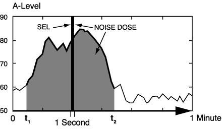 2010 and 2020 Noise Exposure Maps page 56 Figure 12 depicts this transformation.