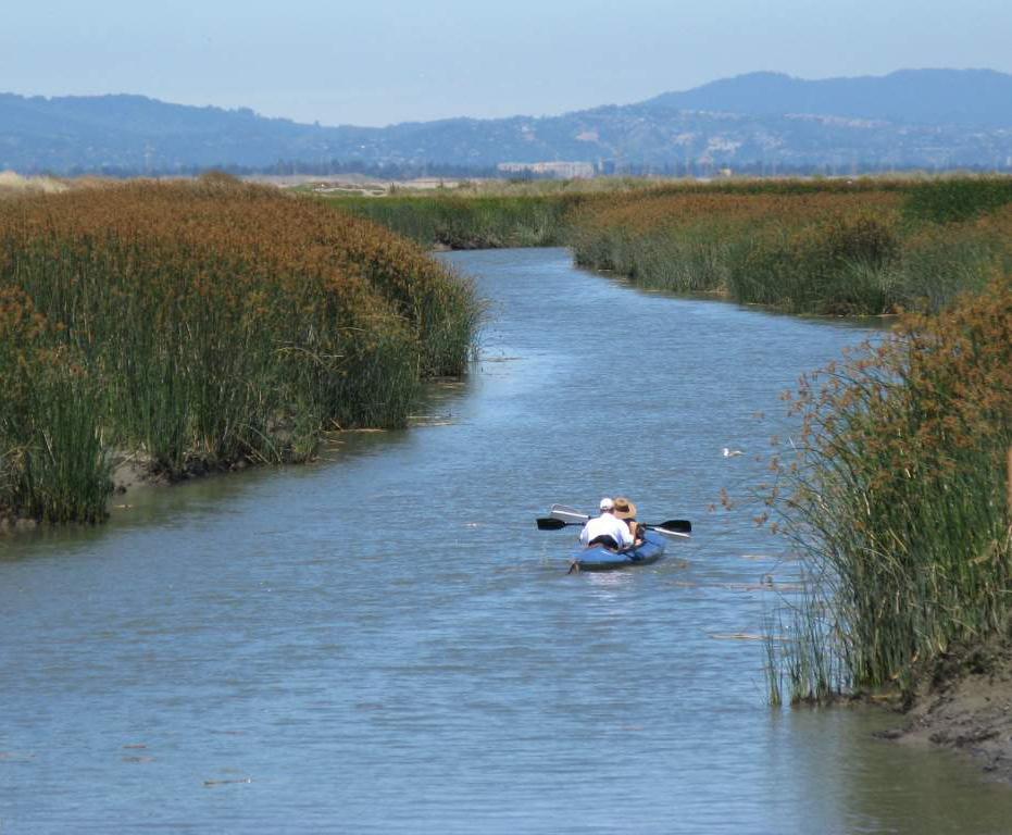 Site Description for Alviso Marina County Park 9 Education, Outreach, and Stewardship, Including Signage: The marina has numerous interpretive panels, covering relevant natural history topics and