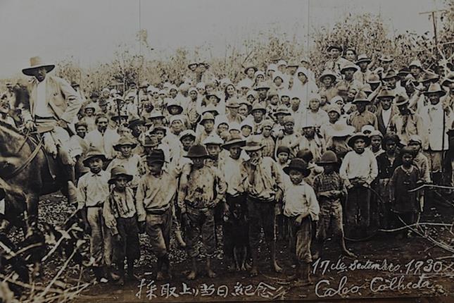 Coffee workers in Brazil in the 1930s. Source: The Brazil Museum of Coffee 1. Who can you see in the photograph? 2.