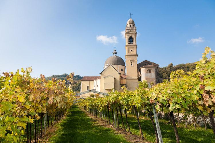 VERONA for WINE LOVERS (AMARONE WINE TRAIL Tour +VERONA FOOD Tour) (7 h 30 m) **FREE SALE** Meet our guide-driver at the meeting point in the city-centre, take place in the comfortable and