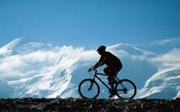 To make the most of your visit to Chamonix we have developed an exciting list of activities and