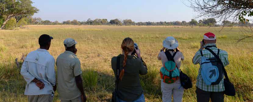 as a freelance guide in the field of mobile safaris, including Afrika Ecco
