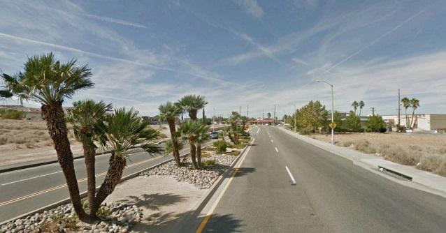 While Auto Center Drive s palms are more aligned with the local habitat and natural conditions, they offer little shade and have been chosen primarily for their function as a landmark marking the