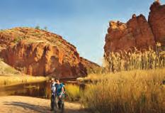 extending your clients stay in Alice Springs