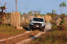 Visitors can experience the best of the territory by hitting the road in Darwin and motoring