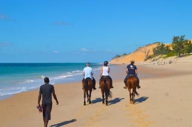 HORSE RIDING For those who like to ride, a trek along the water s edge on the horses based on Benguerra Island and back along some