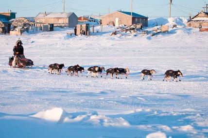 unalakleet Population: 882 Situated on the coast of Norton Sound, just north of the Unalakleet River, this village is the largest community on the Iditarod Trail between Wasilla and Nome.