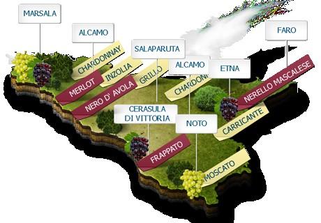 Sicily is the third largest wine producer in Italy (the world's largest wine producer) after Veneto and Emilia Romagna. The region is known mainly for fortified Marsala wines.