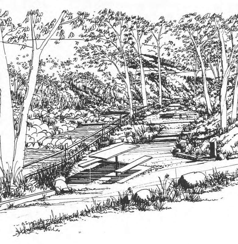 This illustration depicts the Scotsman Picnic Area