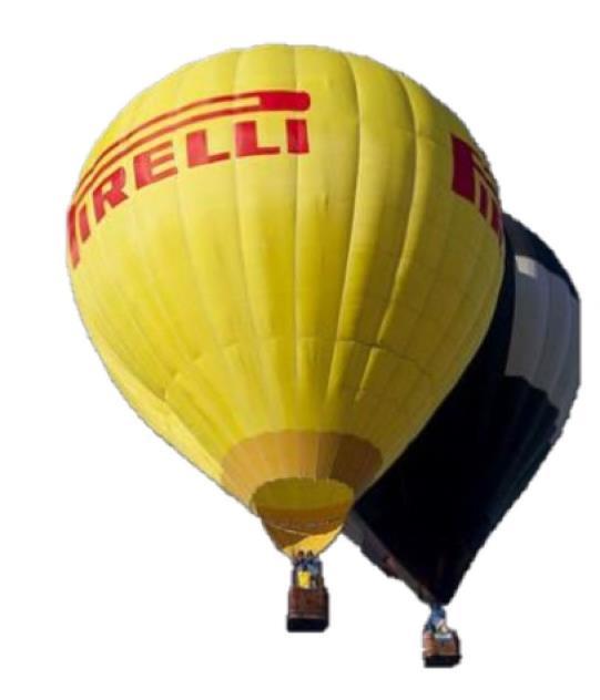 2 UTILIZAREA ACESTUI MANUAL reprezinta cerintele oficiale emise de Pirelli Group: http://www.pirelli.