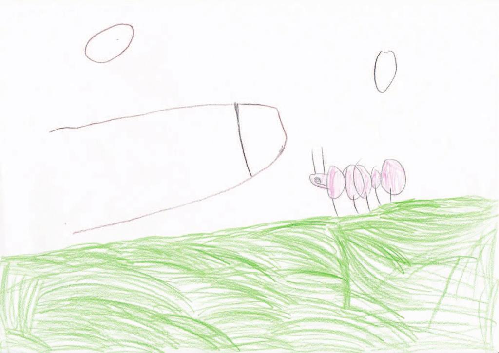 Slika 23: Otroška risba pripomočkov in ujetih živali (Sotošek 2013) Sliko je narisala 5 let, 5 mesecev in 5 dni stara deklica.