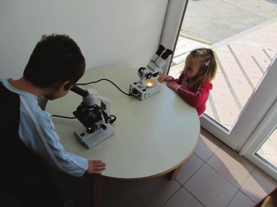 mikroskop (Sotošek 2013) Slika